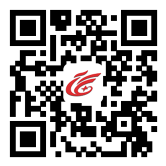 青岛德宏工贸有限公司