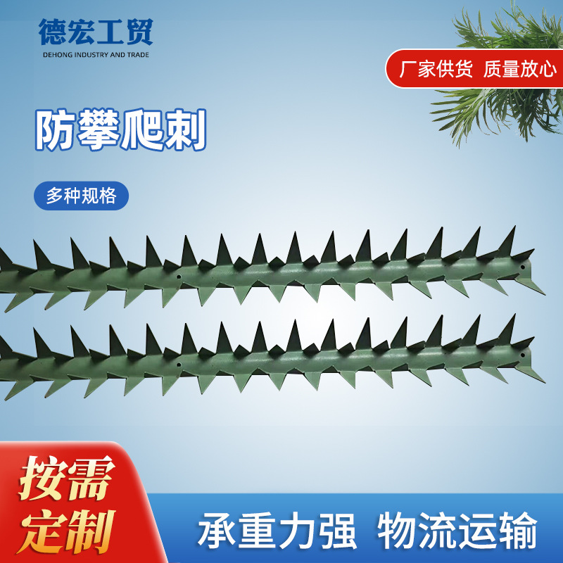 主2图2.jpg.jpg